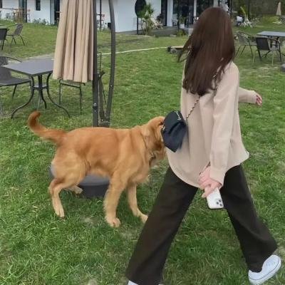 打开门